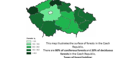 Леса Чехии на карте